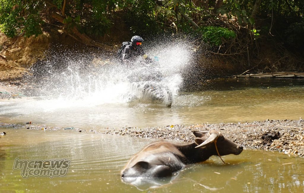 River crossings were such a welcome reprieve on the 450 MT launch that I may have overdone on this one. There's a bike in there I promise.