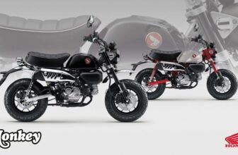 Honda Monkey and Dax Get Sweet New Colors for 2025...