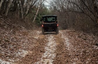 Trump Opens Up Public Land to Be Strip Mined, Mine...
