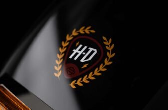 Harley Investors Allege Backroom Deals, Say CEO an...