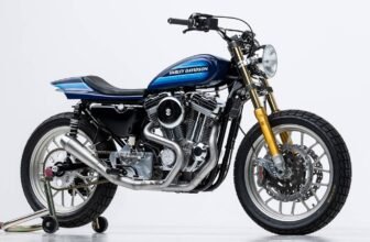 Work in Progress: A flawless Harley Sportster 883 ...