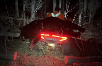 Watch a CFMoto ATV’s Load Capacity Get Pushe...