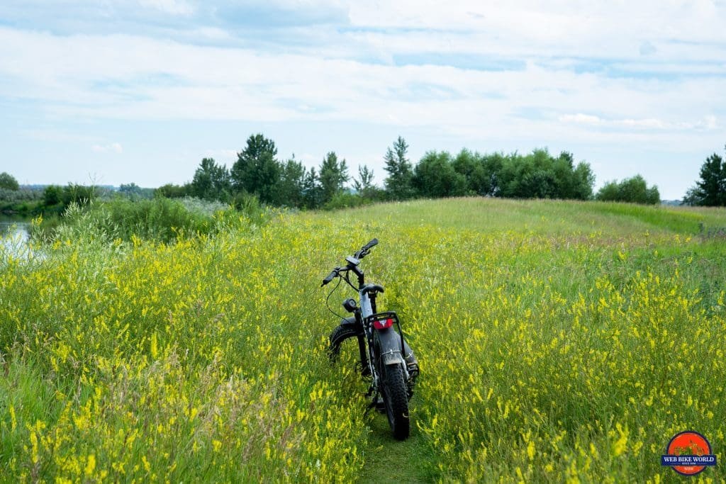 Himiway D5 Pro in a field full of flowers