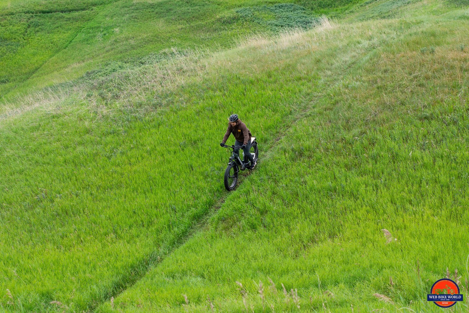 Himiway D5 Pro descending a grassy hill