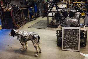 Indian Motorcycle Restoration