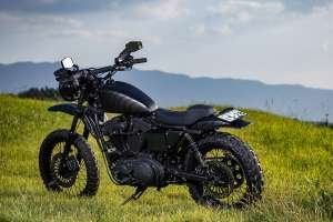 Sportster 883 scrambler