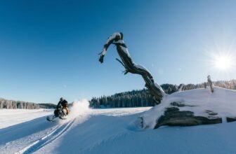 Here’s the 200 Million Acres of Public Land ...