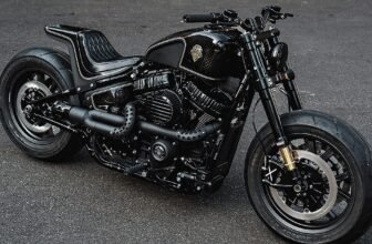 This Menacing Harley Fat Boy is Peak Rough Crafts,...