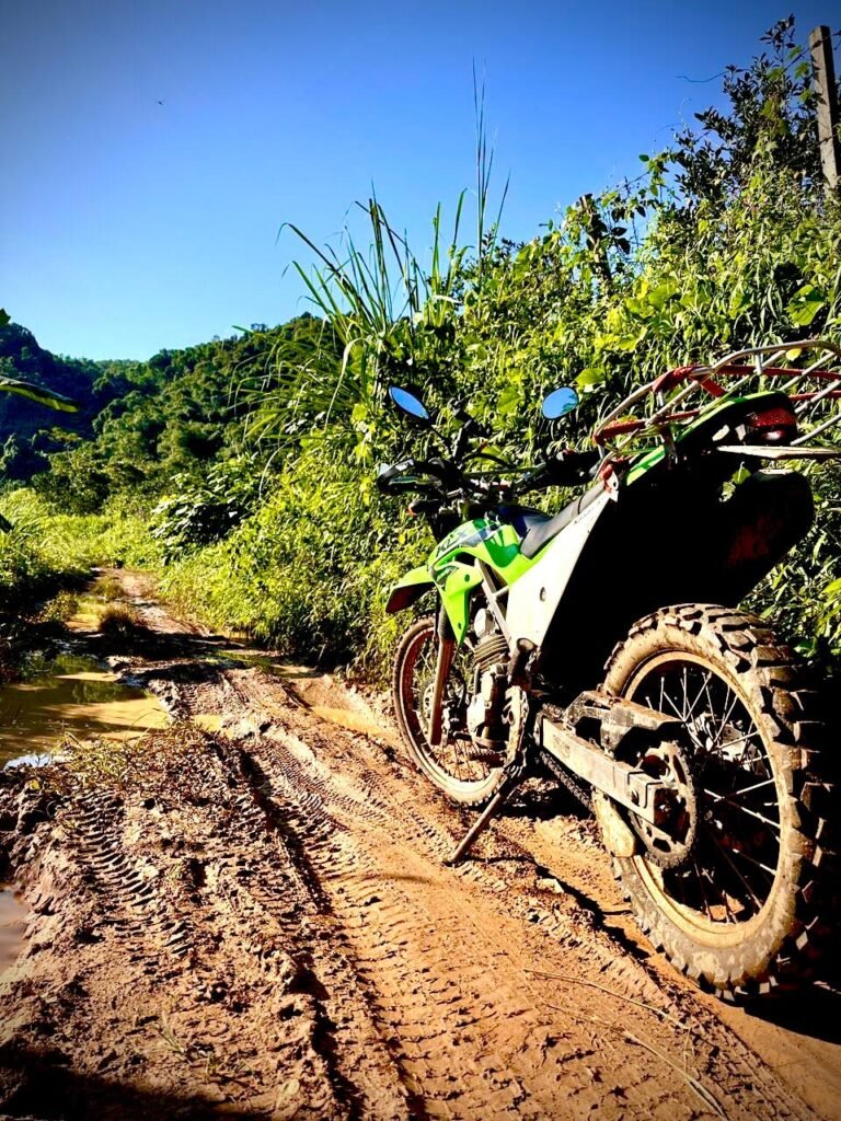 The Italian Stallions, Desartica provided steed for touring Vietnam.