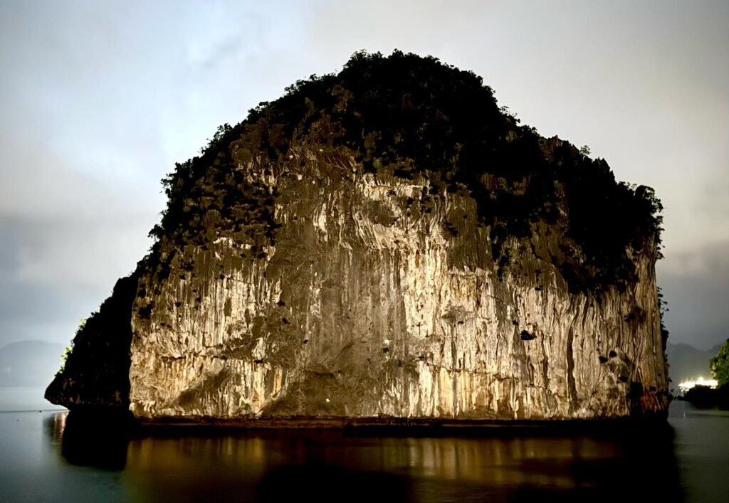 Ha Long Bay is famous for the nearly 2000 towering limestone Karsks which rise out of the emerald waters. Topped with rainforest and rich with wildlife, the UNESCO World Heritage site is one of the most popular attractions in Vietnam.