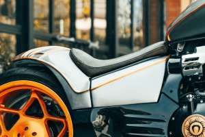 Natraj 650 9
